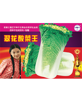 翠花酸菜王小袋