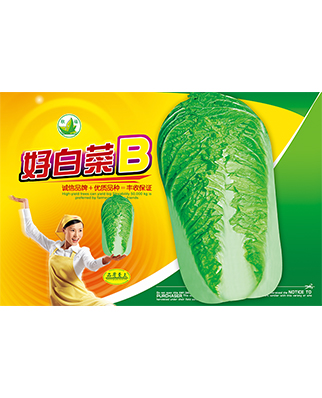 好白菜-B
