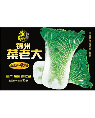 锦州菜老大 黑色包装