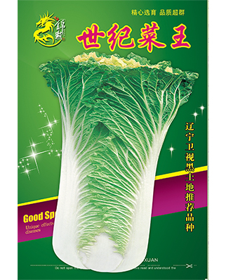 世纪菜王
