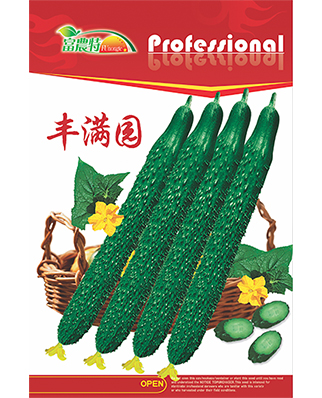 丰满园