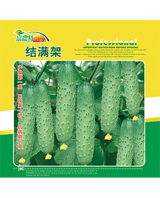 结满架