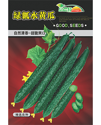 绿瓤水黄瓜