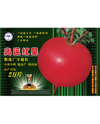 奥运红星