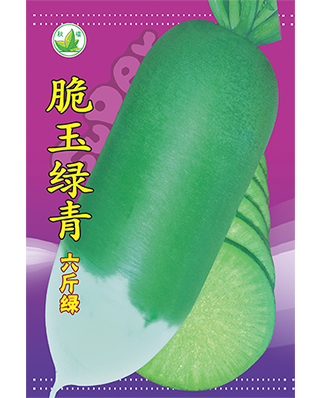 脆玉绿青