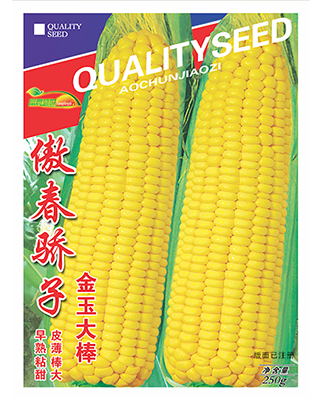 傲春骄子 金玉大棒
