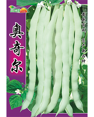 奥奇尔