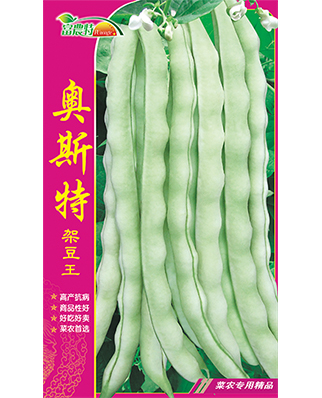 奥斯特