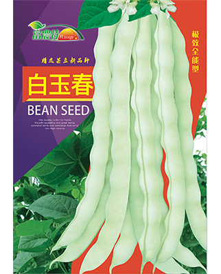 白玉春