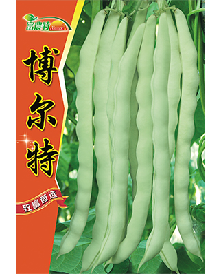 博尔特