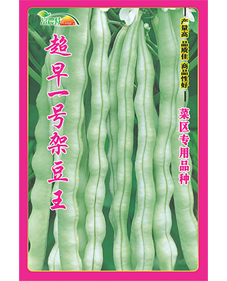 超早一号架豆王