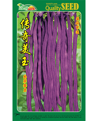 传奇美玉