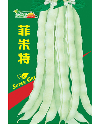 菲米特