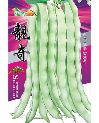 靓奇